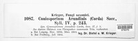 Apiospora arundinis image